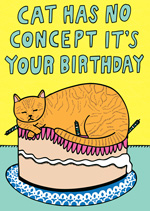 This Cat Has No Concept It's Your Birthday