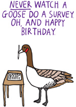 Never Watch A Goose Do A Survey. Oh, And Happy Birthday