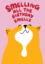 Smelling All The Birthday Smells