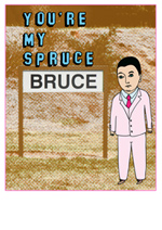 You're My Spruce Bruce