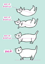 Cat Axis Of Rotation