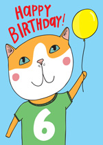 Cat Top 6th  Birthday