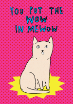Microfibre Cloth - You Put The Wow In Mewow