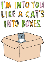 I'm Into You Like A Cat's Into Boxes