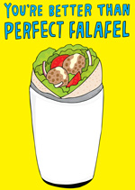 You're Better Than Perfect Falafel